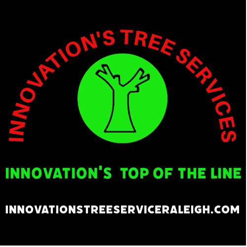 innovations tree service Logo